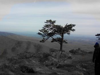 Scenic view of landscape against cloudy sky