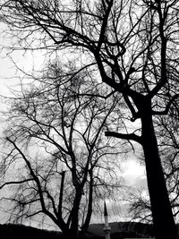 Low angle view of bare trees against sky