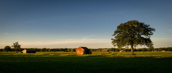 View of agricultural fields against clear sky