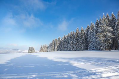 Snow covered land and trees against sky