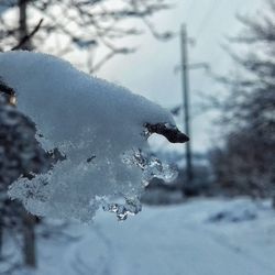Close-up of icicles on snow covered landscape