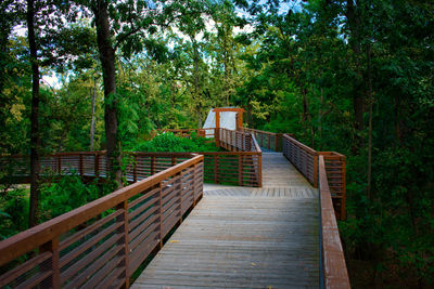 Wooden footbridge amidst trees in forest