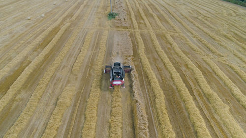 Combine harvester at work harvesting field wheat. aerial view combine harvester mows ripe spikelets