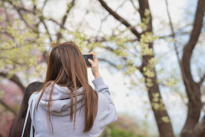 Rear view of woman photographing through smart phone