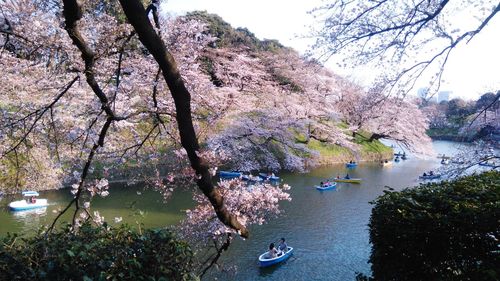 Boat sailing on river by trees against sky