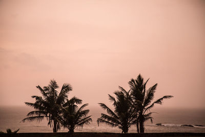 Silhouette palm trees on beach against clear sky