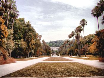 Road amidst trees against sky in city