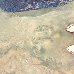 High angle view of footprints on beach