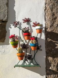 Close-up of potted plant on table against wall