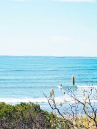 Scenic view of sea against clear sky