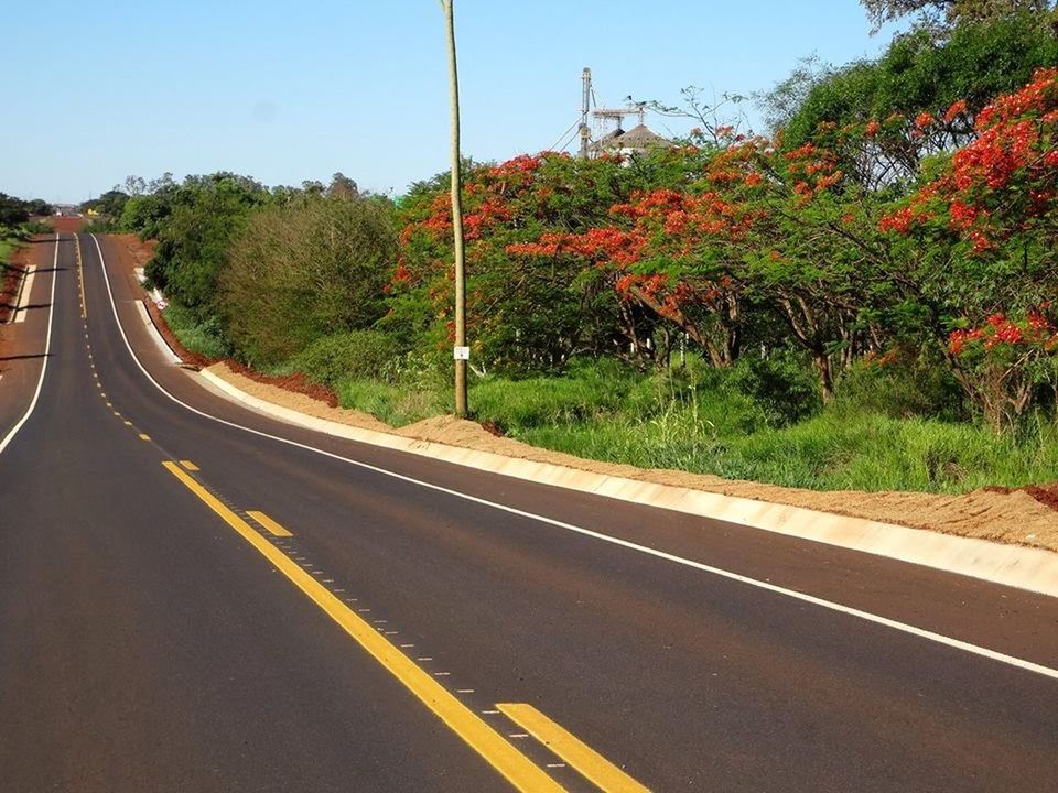 EMPTY ROAD ALONG TREES