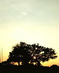 Low angle view of silhouette trees against sky at sunset