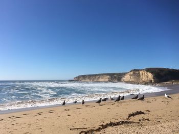 Scenic view of beach against clear blue sky