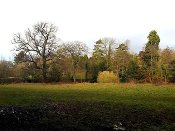 Scenic view of grassy field against sky