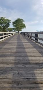 Surface level of boardwalk on footpath by trees against sky