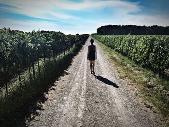 Rear view of woman walking on dirt path in winery