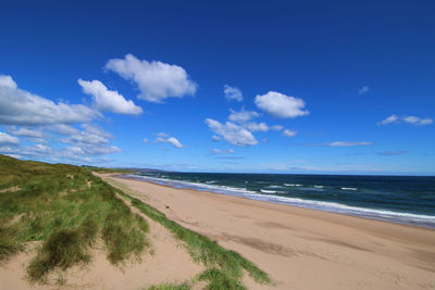 Scenic view of beach against blue sky