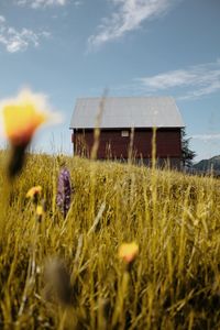 House on field against sky