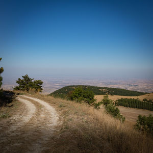 Scenic view of field against clear blue sky