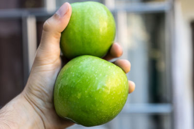 Close-up of hand holding apple