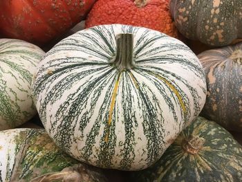 Pumpkins in assorted colors, striped and solid colors