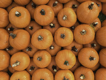 Full frame shot of pumpkins in market