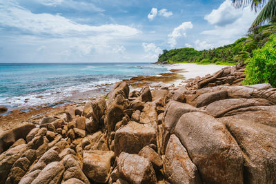 View of rocks on beach