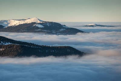 Winter landscape from rodnei mountain. a cold foggy morning with heavy snow.