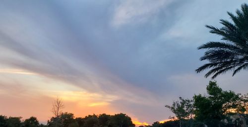 Low angle view of silhouette trees against sky at sunset