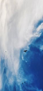 Low angle view of airplane flying in sky