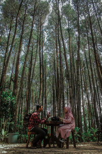 People sitting on bamboo amidst trees in forest