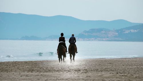 Rear view of people riding horses at beach against sky