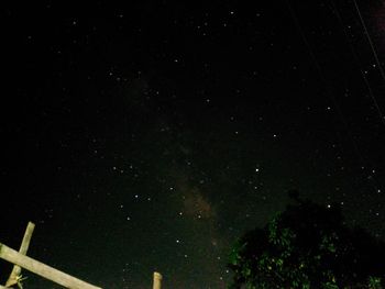 Low angle view of trees against sky at night