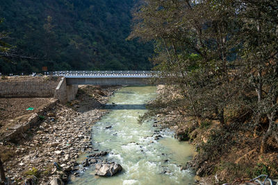 Bridge over river in forest