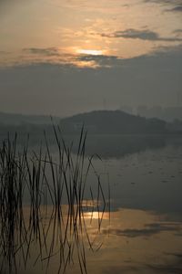 Sunrise and foggy lake