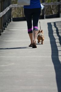 Woman walking the dog on boardwalk