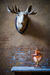 Antique on table against hunting trophy on wall