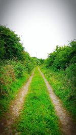 Dirt road passing through field