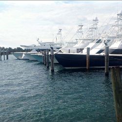 Boats in harbor