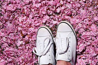 Low section of person in shoes on pink petals