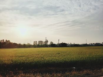 Scenic view of field against sky