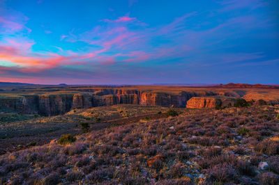 Scenic view of landscape against sky