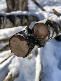 Close-up of snow on land