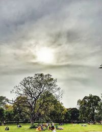 People on field by trees against sky