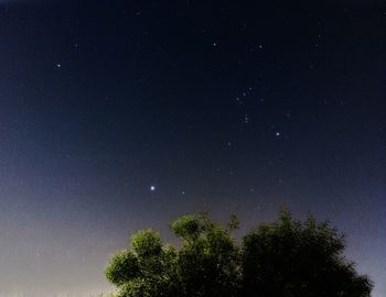 Low angle view of star field against star field