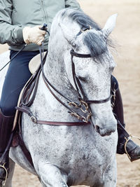 Low section of man horseback riding in ranch