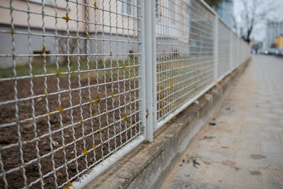 Close-up of fence