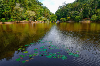 Scenic view of lake against sky