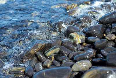 Closeup group of wet polished stones and pebbles were surfed by the sea