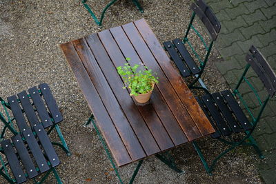 High angle view of potted plants